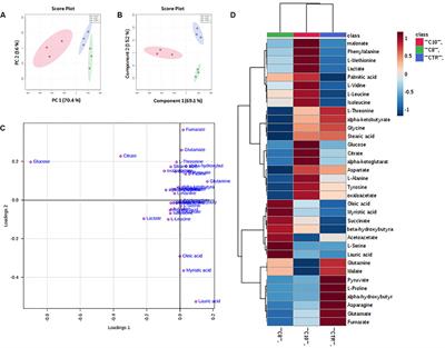 Decanoic Acid and Not Octanoic Acid Stimulates Fatty Acid Synthesis in U87MG Glioblastoma Cells: A Metabolomics Study